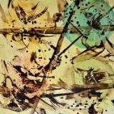 Fractures  