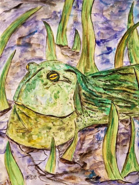 Ziggy, an African Bullfrog, dreams of going to Oxford...