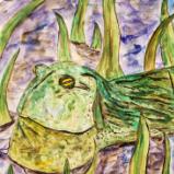 Ziggy, an African Bullfrog, dreams of going to Oxford...