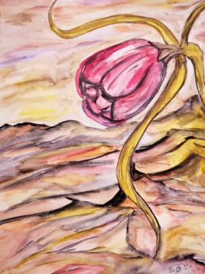 A moment of beauty in an endless sweep of emptiness.t A moment of beauty in an endless sweep of emptiness.t