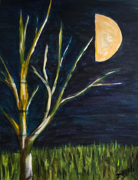 Tonight the wind is silent  