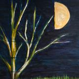Tonight the wind is silent  