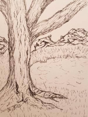 I can always find creative calm near the poets tree. I can always find creative calm near the poets tree.